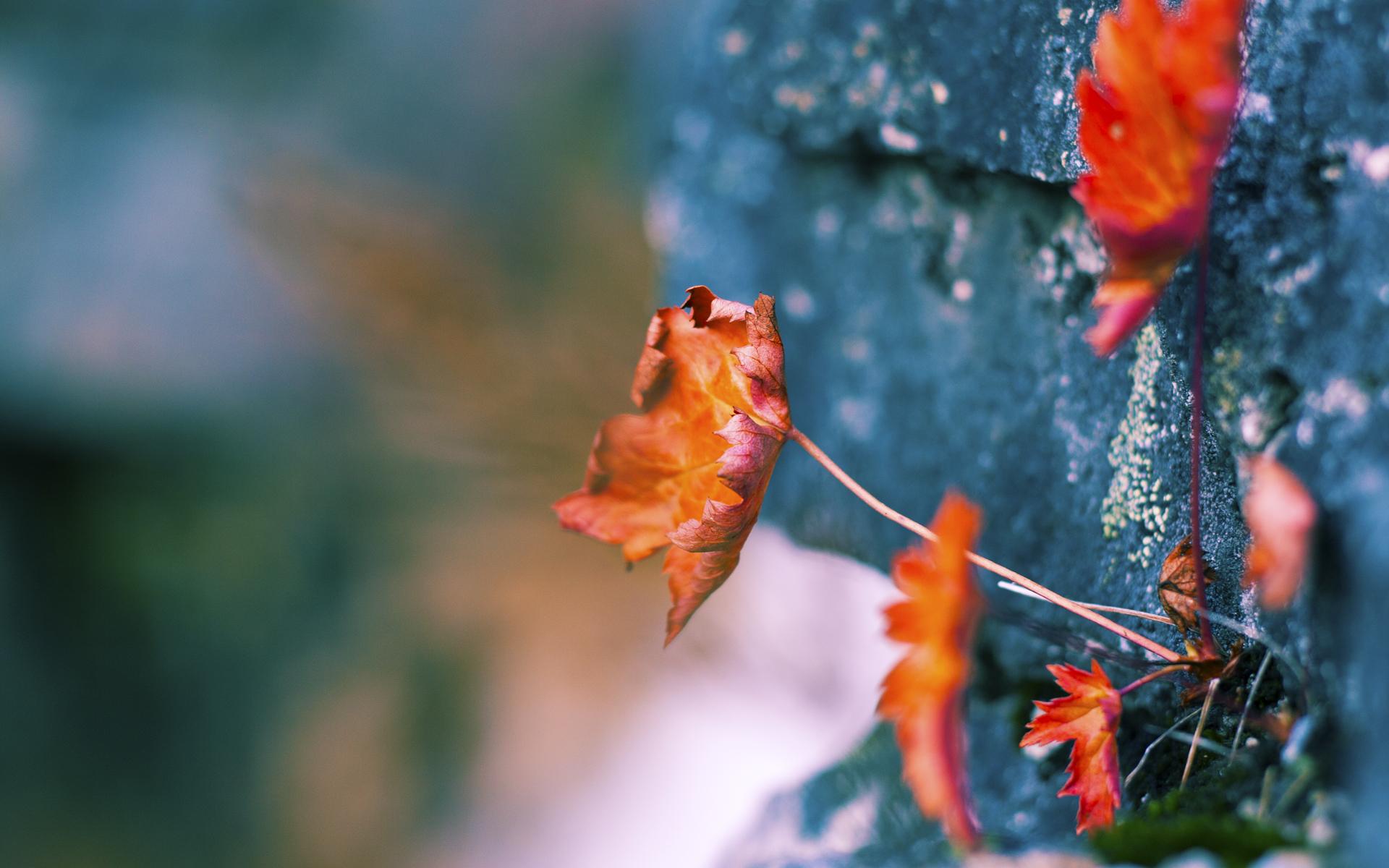 开云体育下载官网-LCS教练组大换血,ssg教练