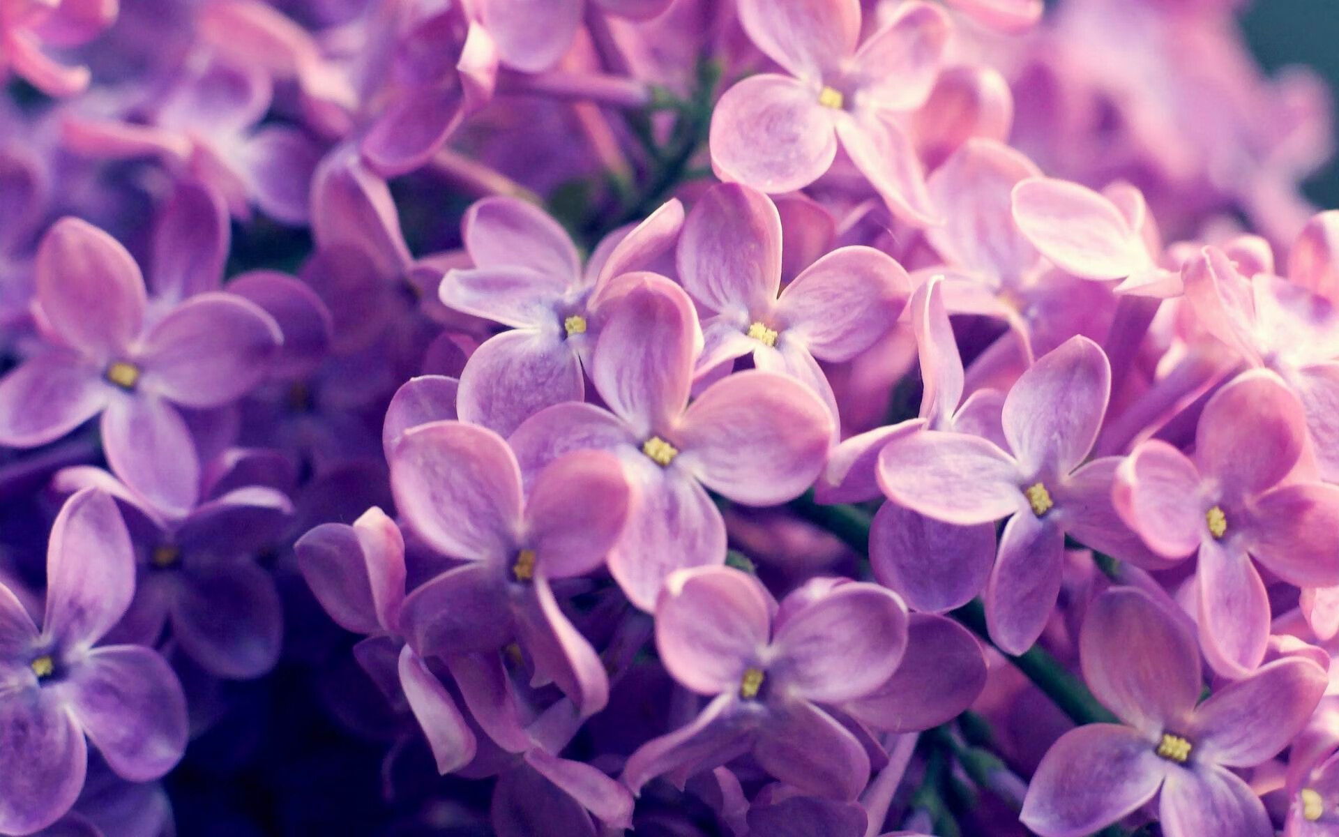 开云体育首页-NBA官方更新季后赛赛程,凯尔特人与雄鹿强强对话,nba凯尔特人vs雄鹿直播