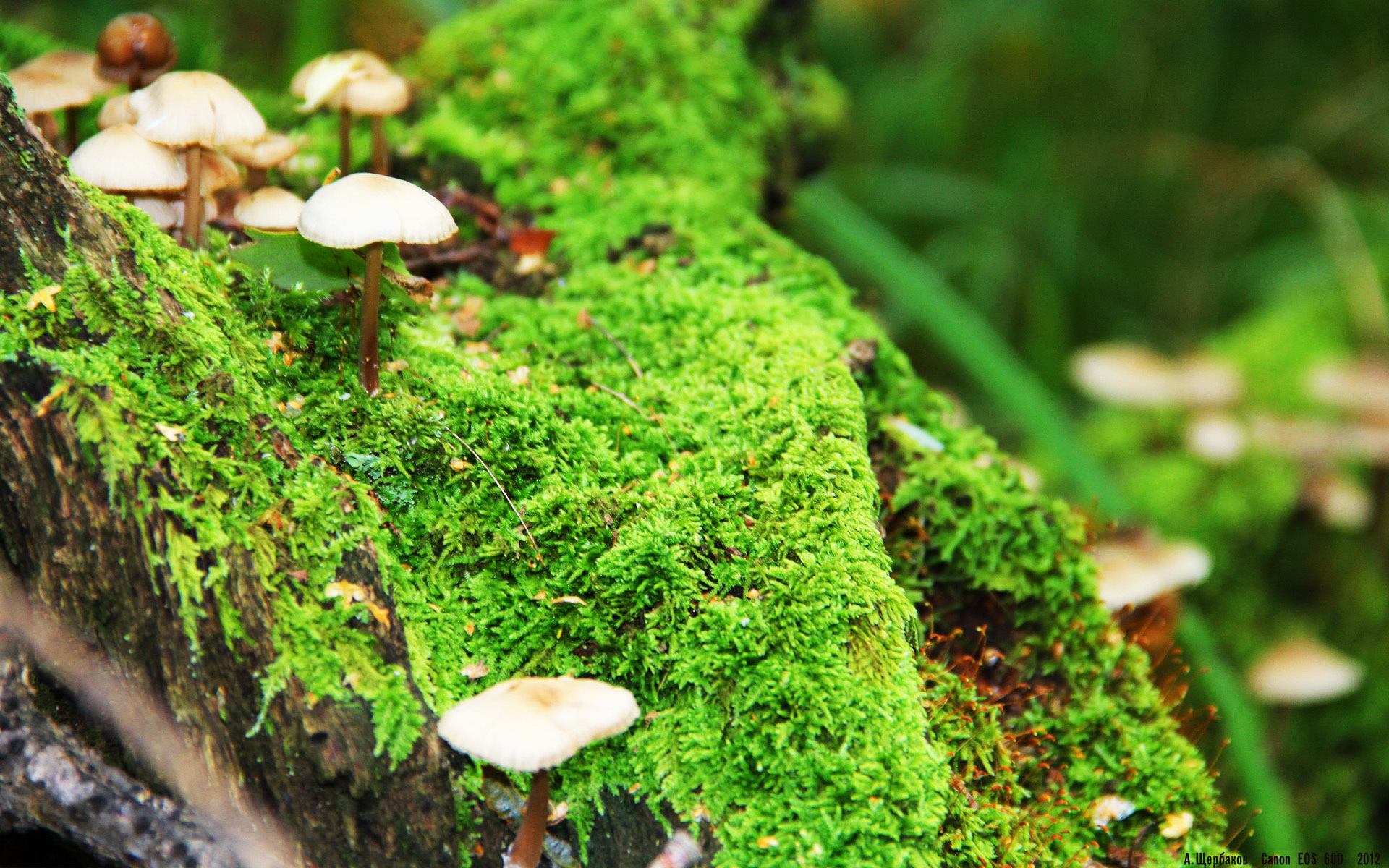 开云娱乐app安全登录-中超联赛荣誉榜再生变化，射手竞争白热化，中超奖项