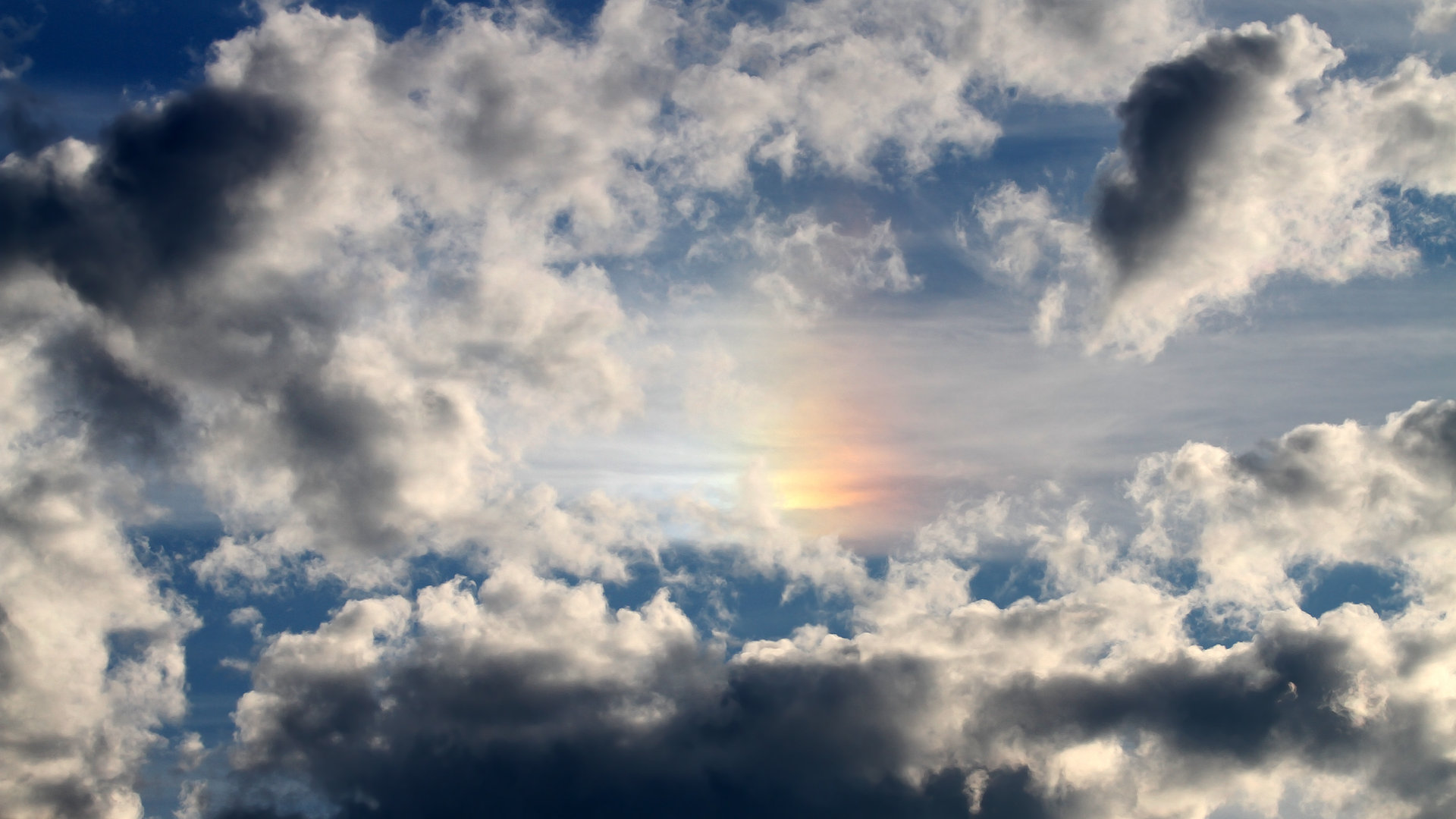 开云体育娱乐app安全-瑞士马术协会授予马尔科·阿尔瓦雷斯“年度最佳马匹护理员”称号。