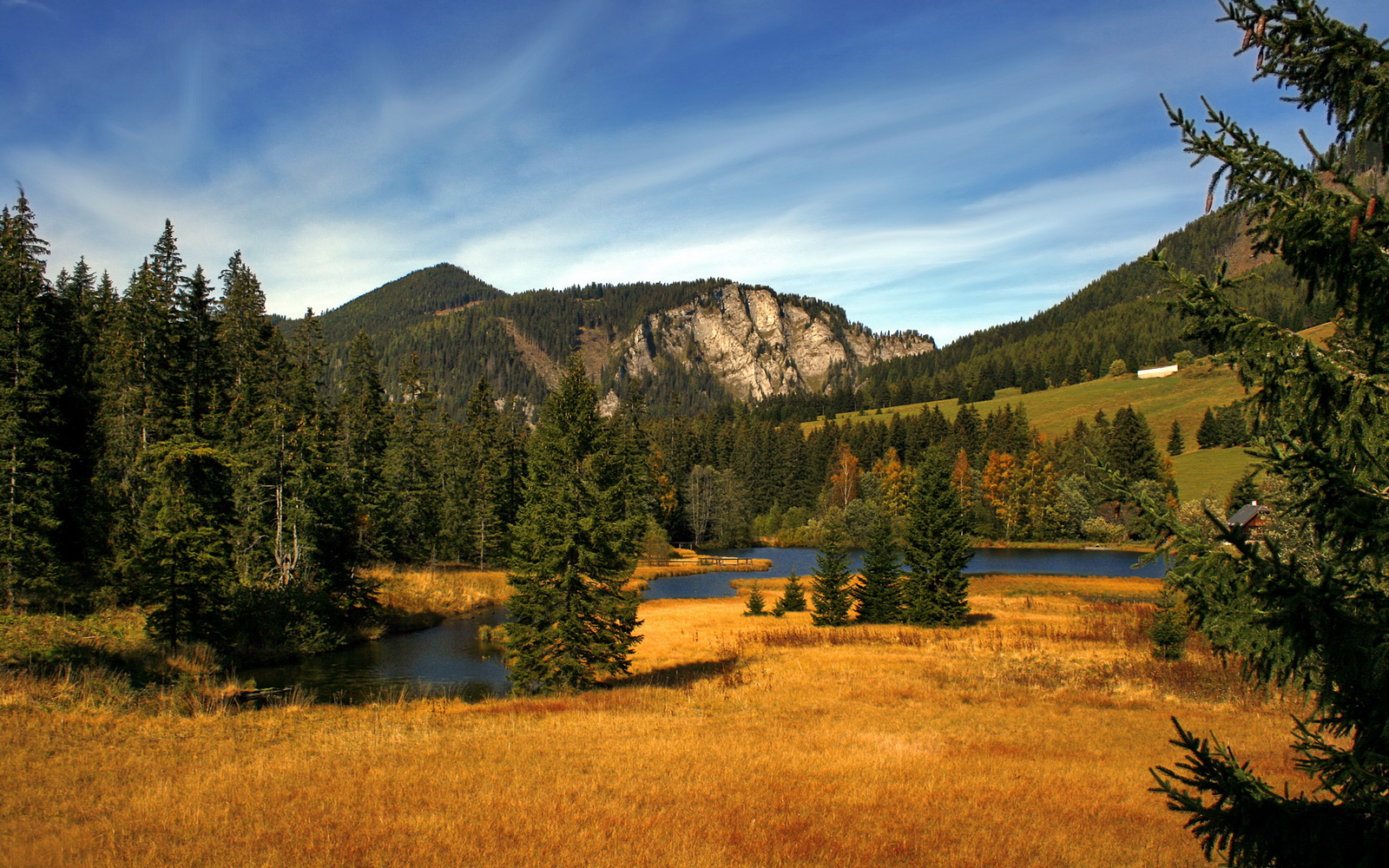 开云体育入口-足球文化是否能有效融入社会生活,足球文化氛围