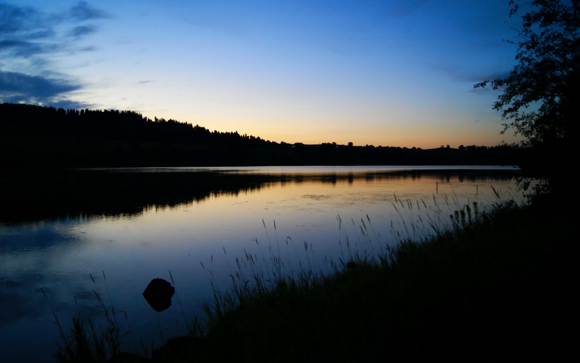 开云体育下载入口-阿美尼亚打破僵局，帮助图卢兹取得胜利，阿美尼亚甲组联赛即时比分