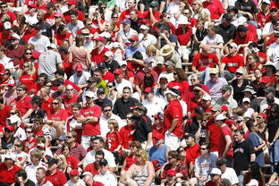 开云体育官网-体育赛事观众满意度影响因素研究，体育赛事关注度