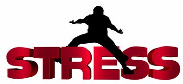 开云app安全认证-篮球运动员比赛心理压力识别与调控技术研究,篮球运动员的心理素质训练应把重点放在