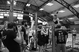 开云体育平台APP-“2025世界游泳锦标赛：水上芭蕾精彩纷呈，艺术之美与竞技并行”