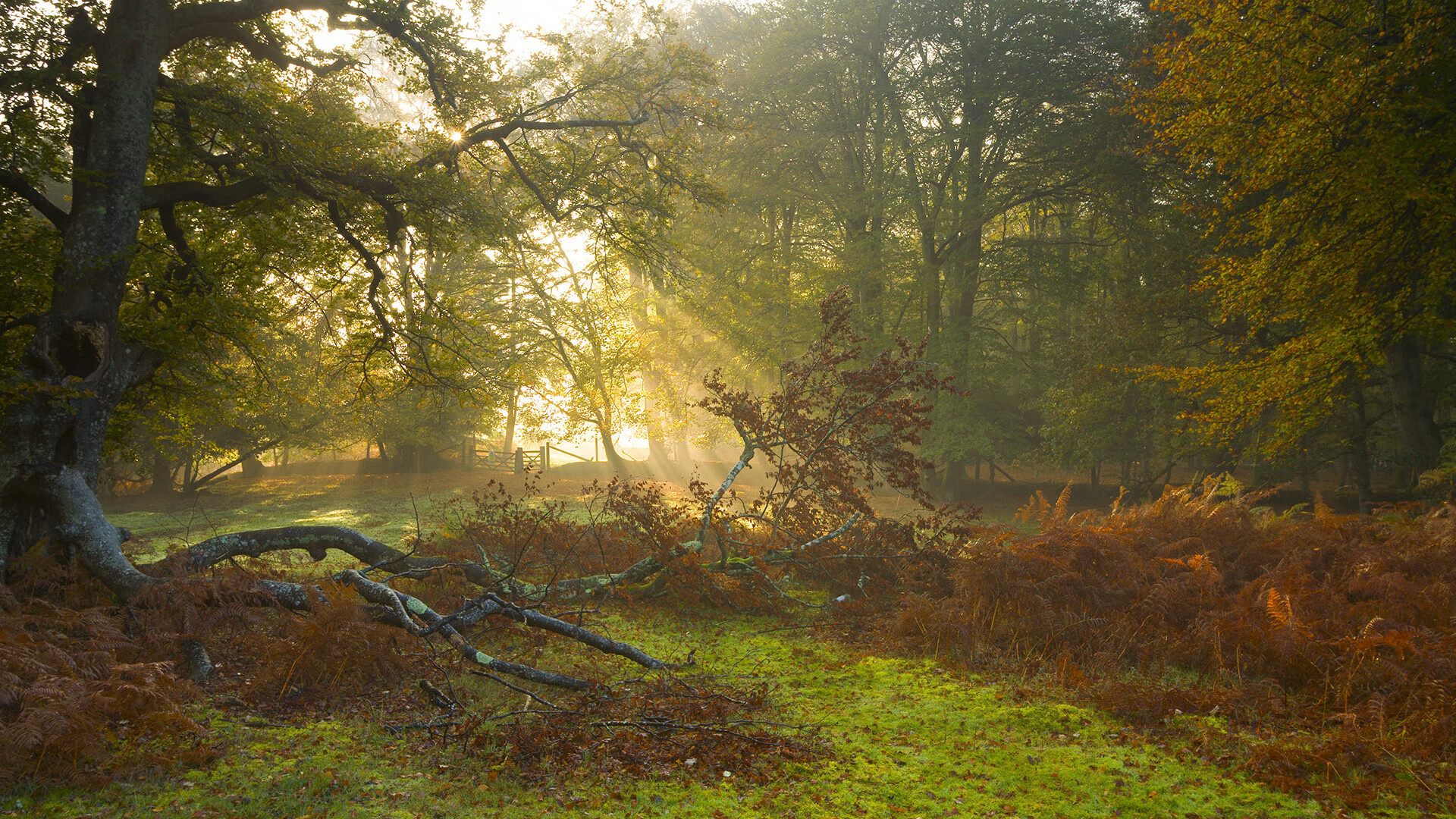 开云体育安全平台-国家队体能与技术训练为何难以均衡，国家队 体能