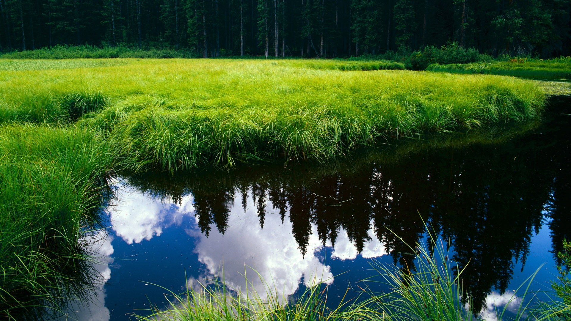 开云体育下载官网-青年联赛表现抢眼小球员展现不俗潜力,青年队球霸是谁
