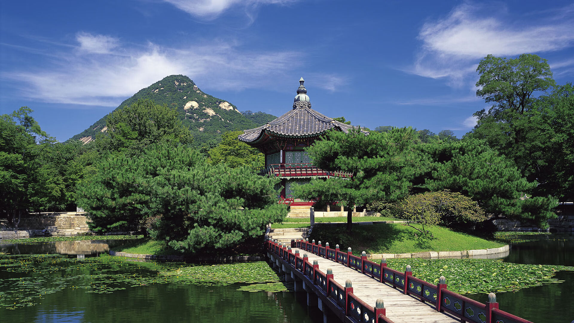 开云下载-项目间多线竞争驱动国家运动水平提升